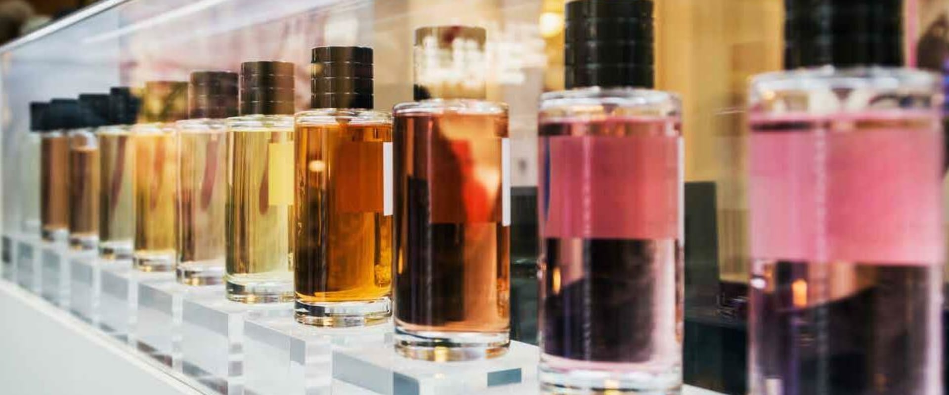 Cedarwood Fragrances: A Comprehensive Overview