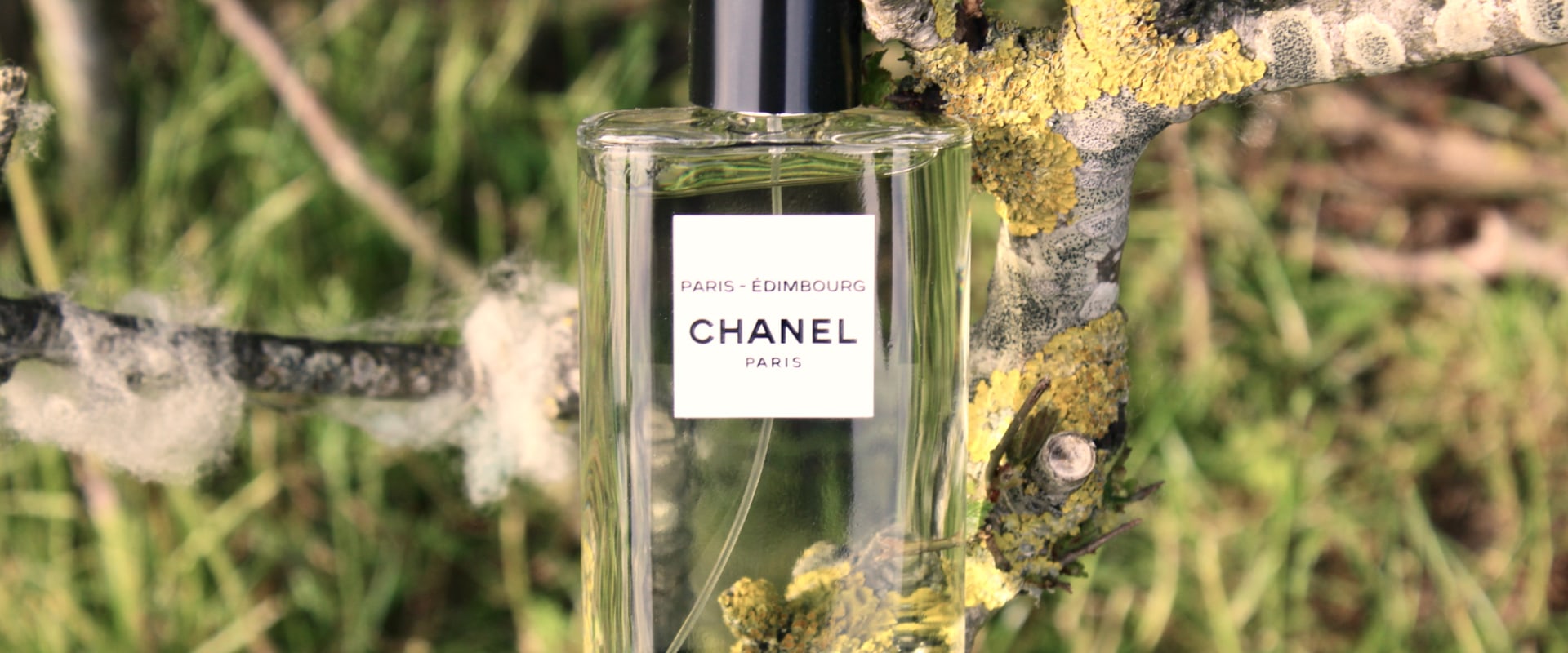 Chanel Perfume Reviews