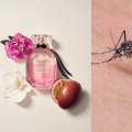Victoria's Secret Perfume Deals - Designer Fragrances for Every Budget